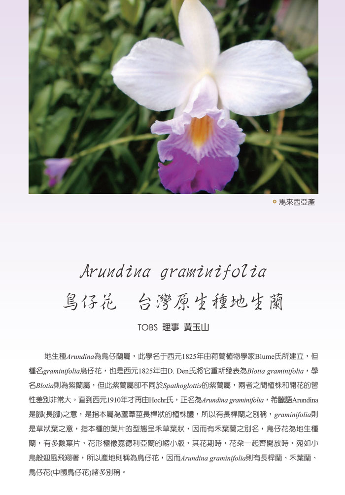 P67-88P-1.jpg