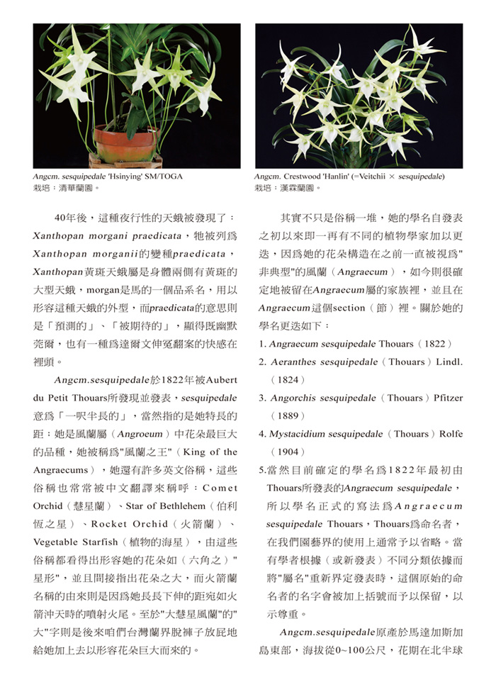 蘭花季刊OK-31-50-20.jpg