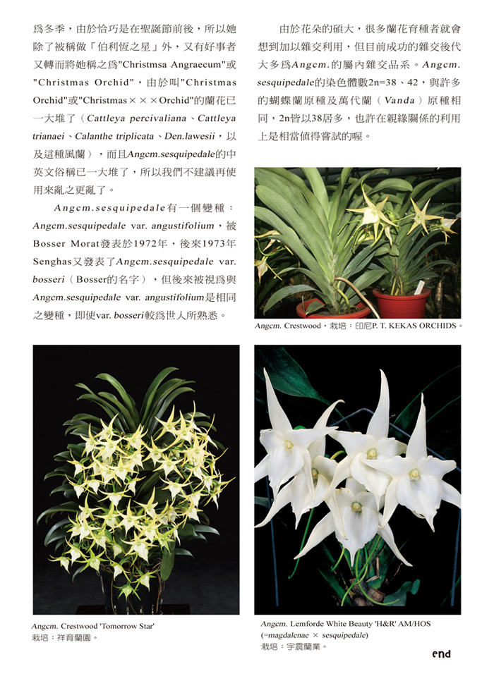 蘭花季刊OK-51-80-1.jpg