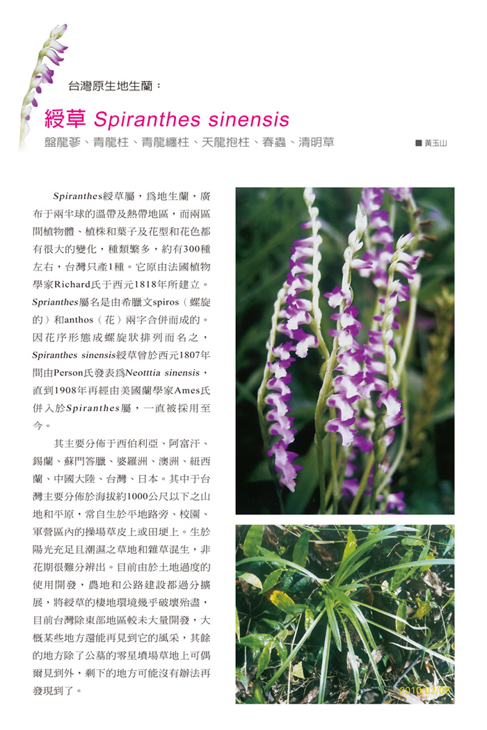 蘭花季刊OK-51-80-6.jpg