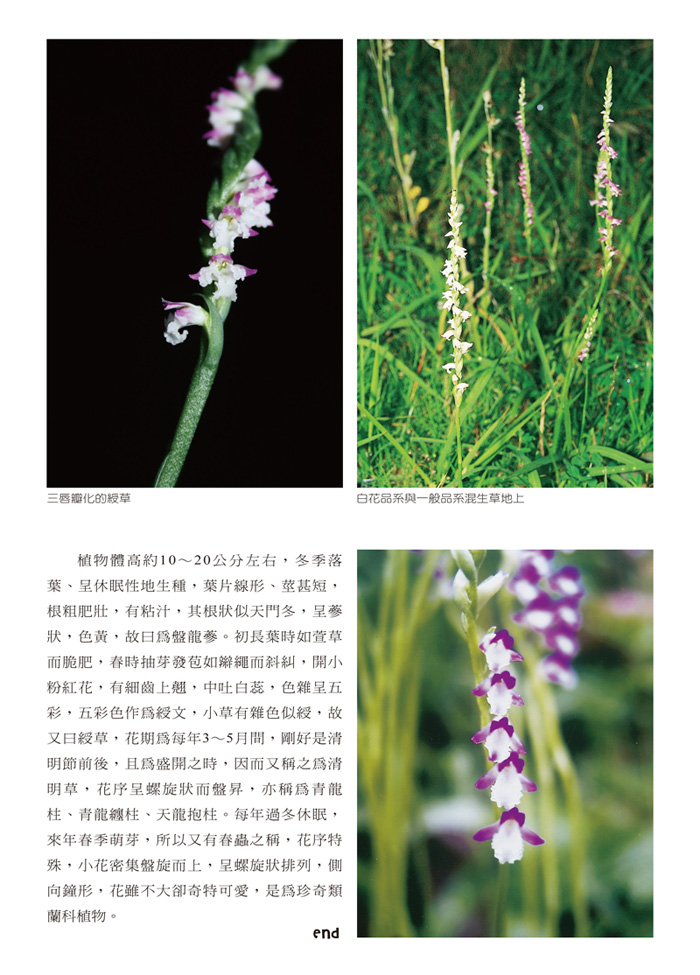 蘭花季刊OK-51-80-7.jpg