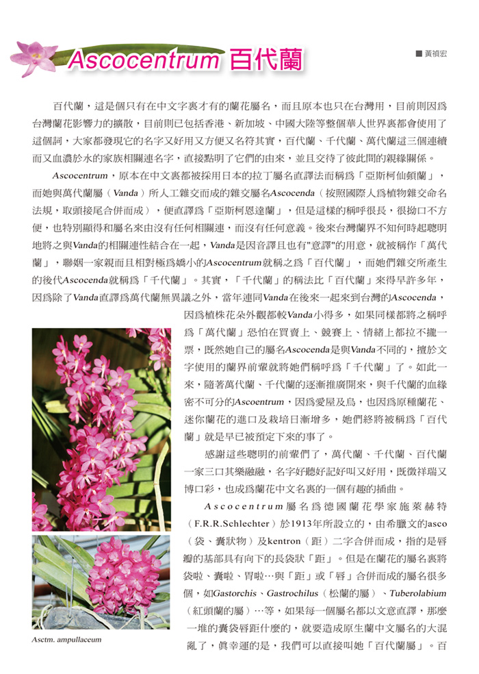 蘭花季刊OK-51-80-8.jpg
