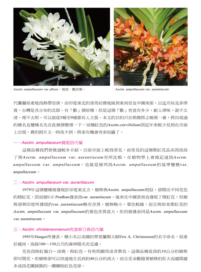 蘭花季刊OK-51-80-9.jpg