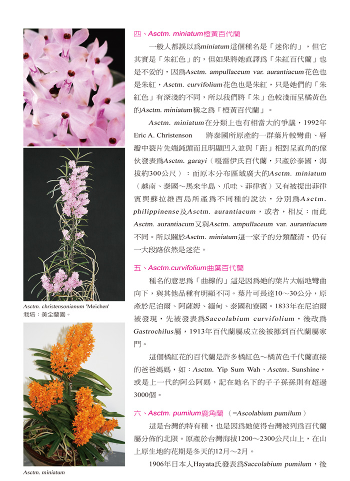 蘭花季刊OK-51-80-10.jpg
