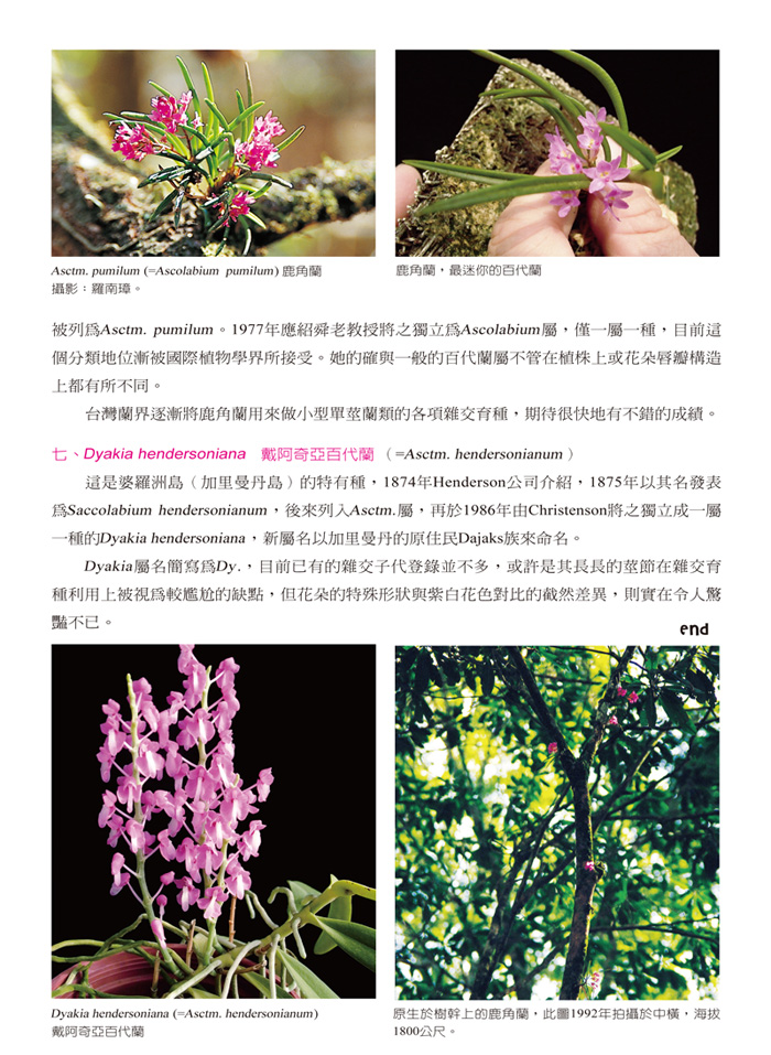 蘭花季刊OK-51-80-11.jpg