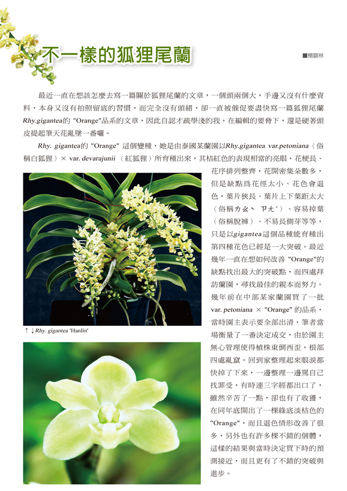 蘭花季刊OK-51-80-14.jpg