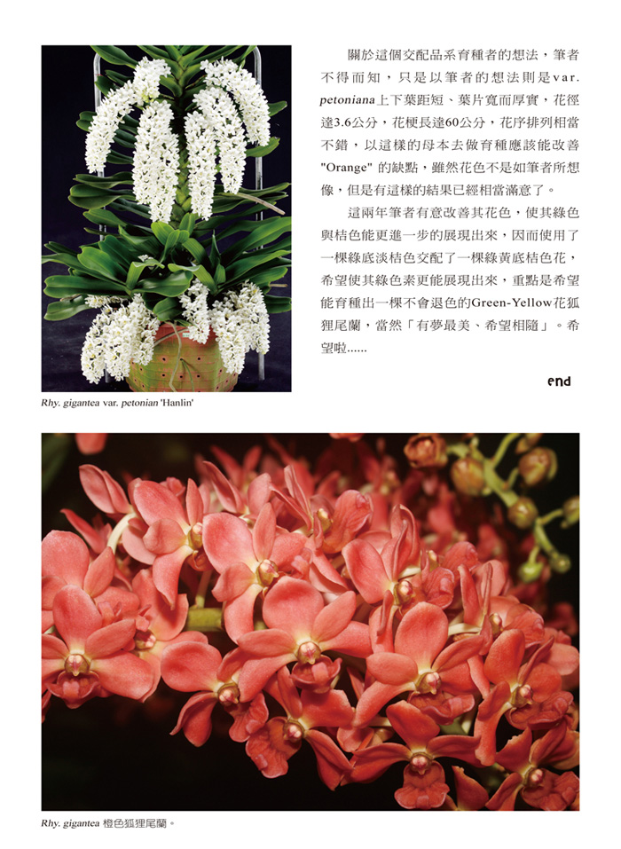 蘭花季刊OK-51-80-15.jpg