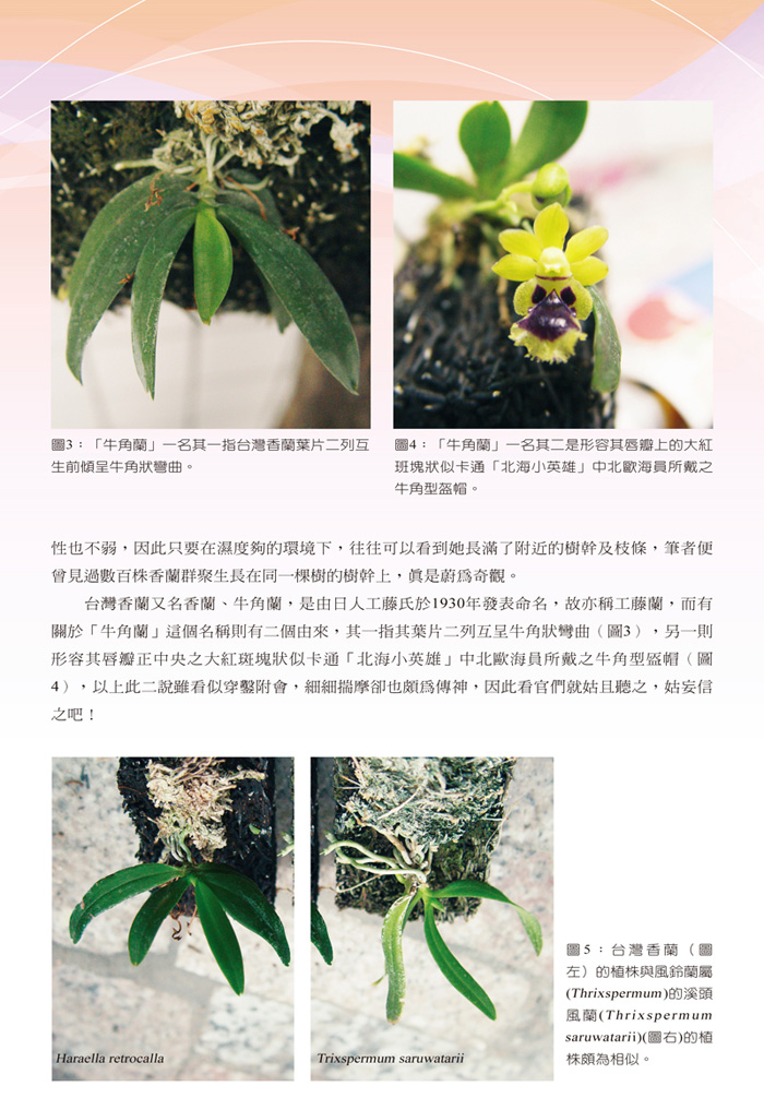 台-46-60-12.jpg