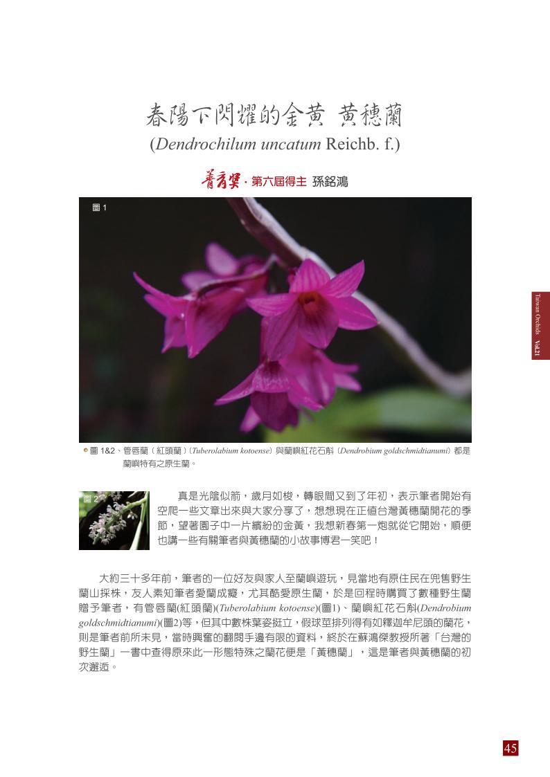 台灣蘭花 第21集 春季刊 內頁_45.jpg