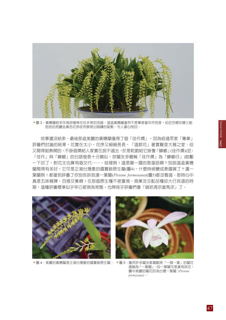 台灣蘭花 第21集 春季刊 內頁_47.jpg