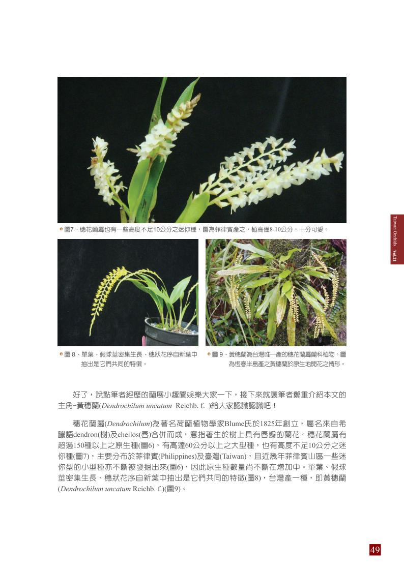 台灣蘭花 第21集 春季刊 內頁_49.jpg