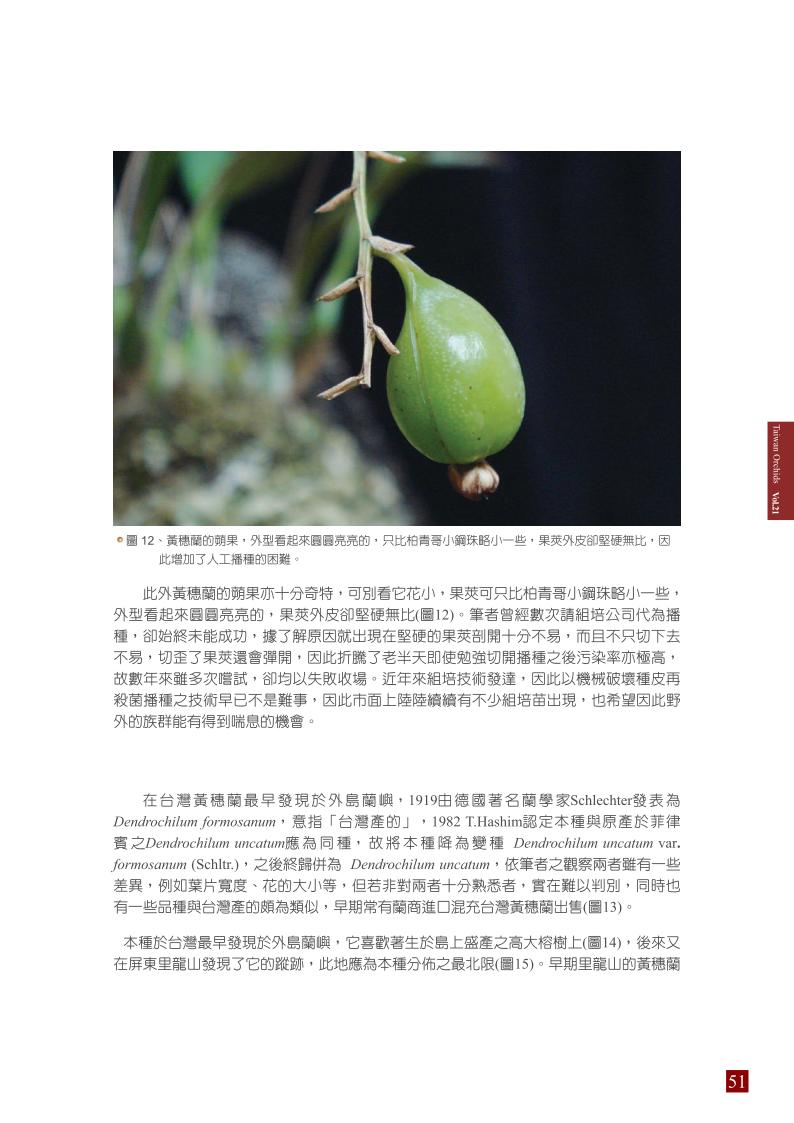 台灣蘭花 第21集 春季刊 內頁_51.jpg