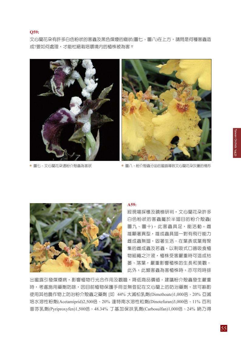 台灣蘭花第23期季 內頁 (1)_55.jpg