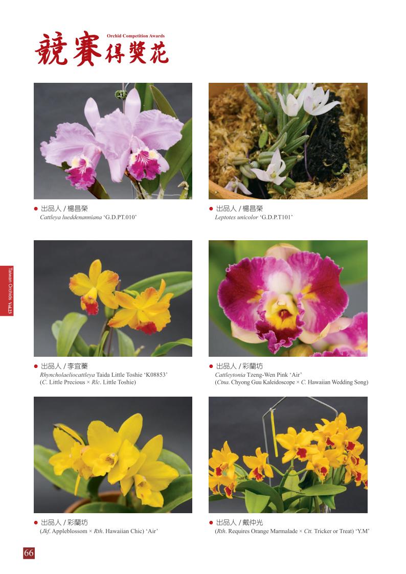 台灣蘭花第23期季 內頁 (1)_66.jpg