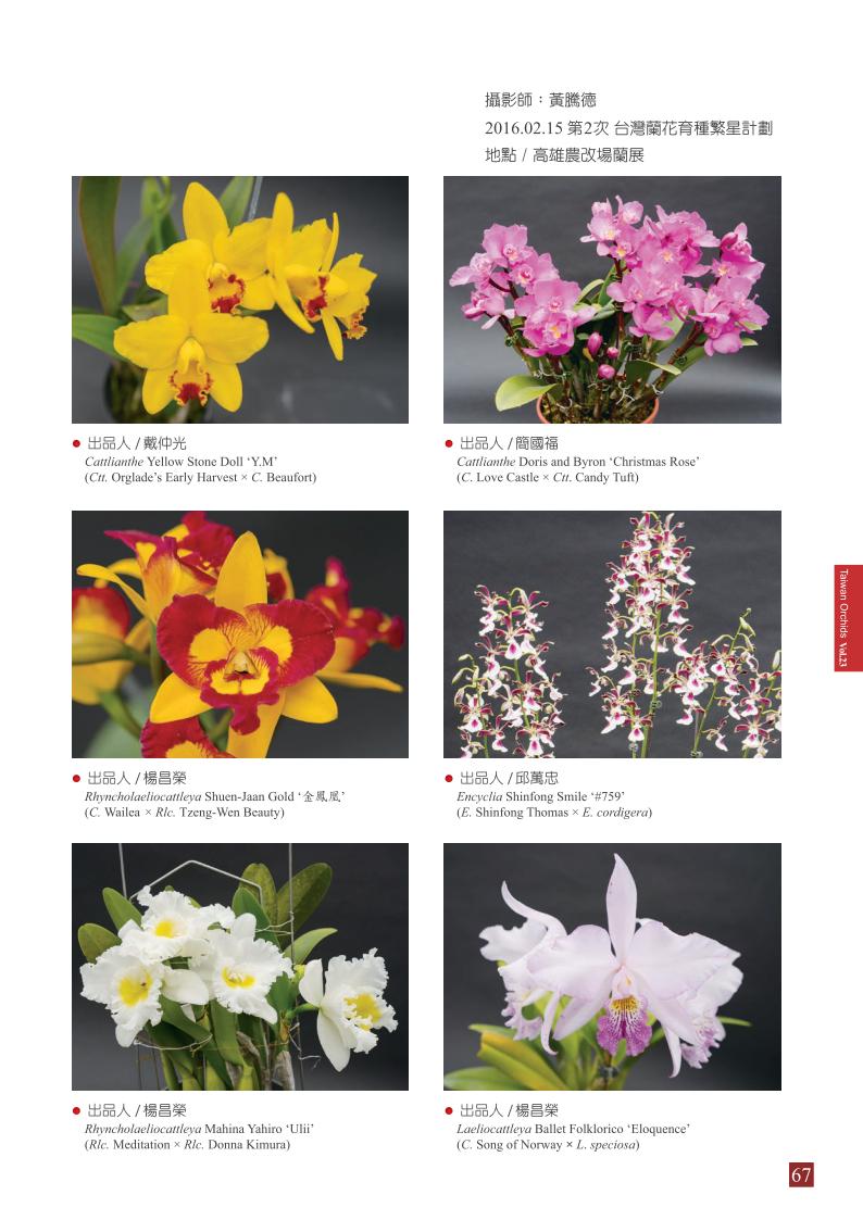 台灣蘭花第23期季 內頁 (1)_67.jpg