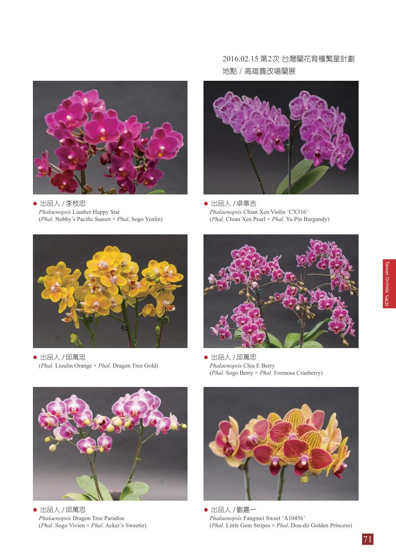 台灣蘭花第23期季 內頁 (1)_71.jpg