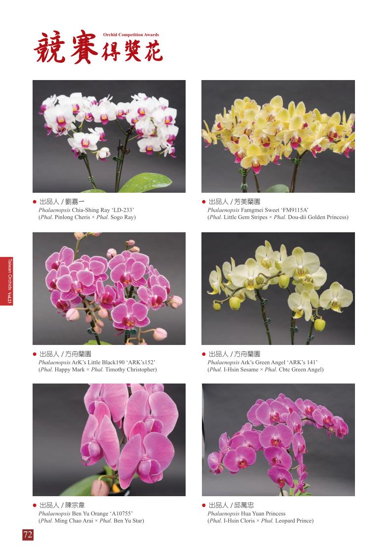 台灣蘭花第23期季 內頁 (1)_72.jpg
