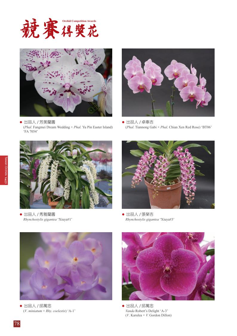 台灣蘭花第23期季 內頁 (1)_78.jpg